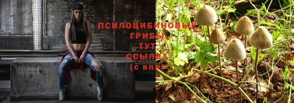 бутират Верхний Тагил