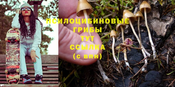 бутират Верхний Тагил