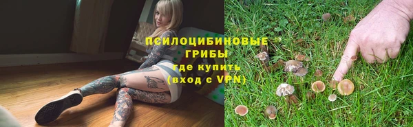 тгк Верея