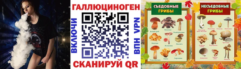 Галлюциногенные грибы MAGIC MUSHROOMS  Гдов 
